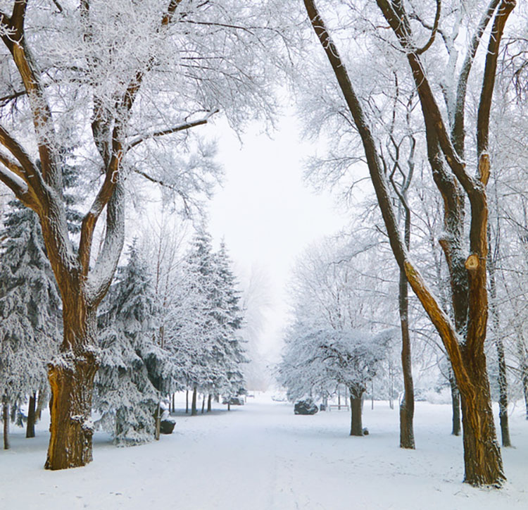 La SMENO vous partage ses bons plans et activités pour la saison hivernale.